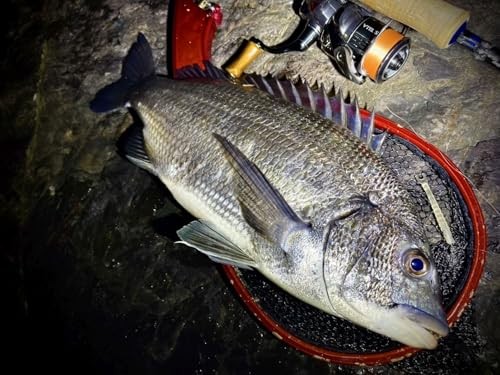 NEW GOSEN Answer Ajing PE x 4 150m 0.25 6lb