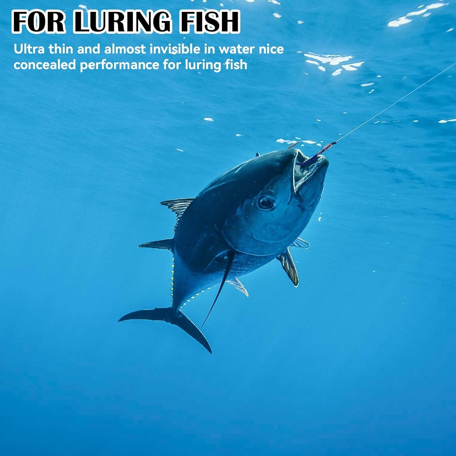 Invisible Fishing Bait Thread – 656 Feet Stretchy 0.2mm Clear Nylon for Anglers