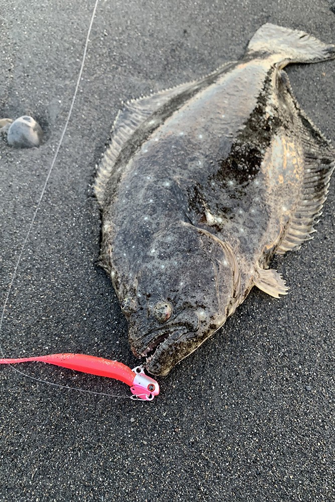 [SALE] VARIVAS Avani Casting PE Max Power X8 Shore Master 200m/0.8/16.7LB Japan