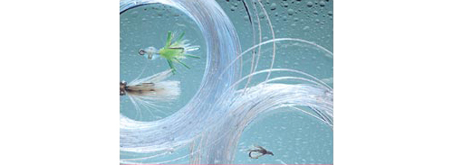 Royal Wulff Triangle Taper Saltwater Mono Clear Fly Line