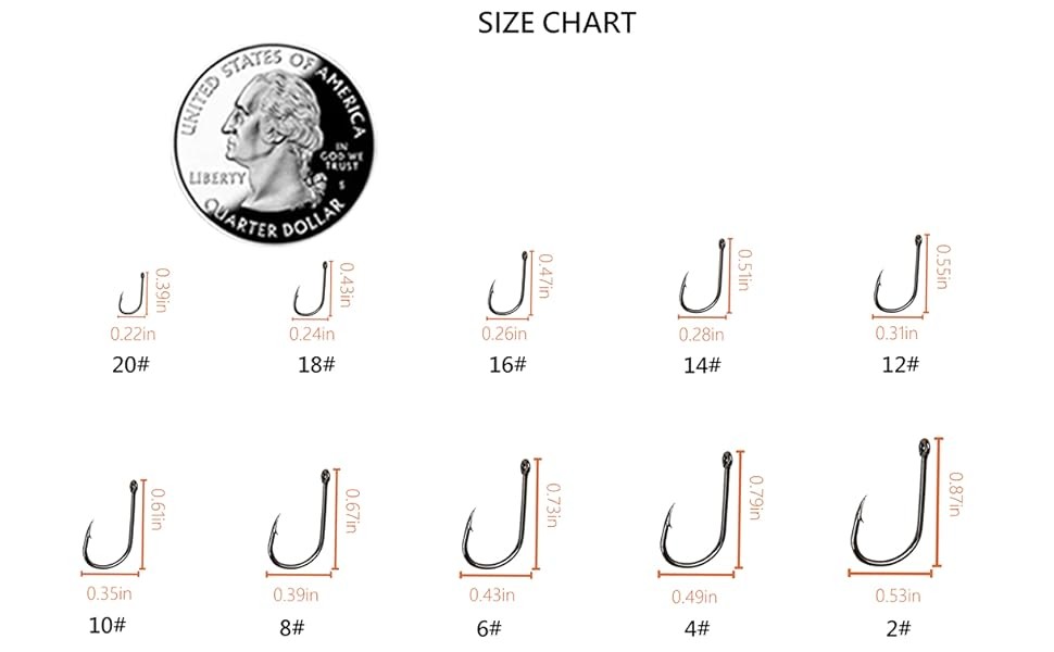 HDV / / Small Fishing Hooks, 10 Different Sizes Tiny Fish Hook Set for