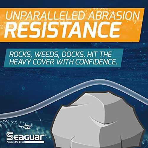Seaguar Gold Label 100% Fluorocarbon Fishing Line Leader, 40-pounds/25-yards