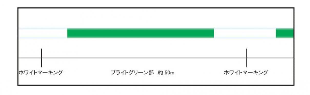 SUNLINE Salty Mate MEGA SLAM Casting PE Line x8 #10 130LB 200m Green New