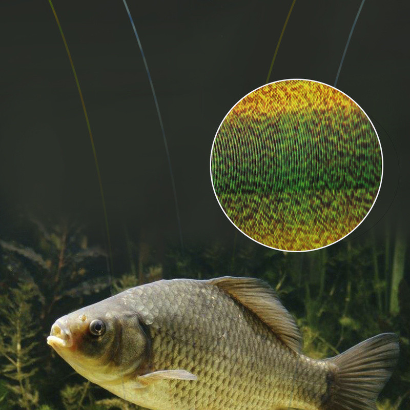 3D Invisible Spotted Fishing Line Monofilament Speckle Fluorocarbon Qualität